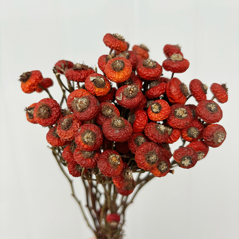 Dried Flower Bunch - 10 Unidades/Conjunto de Flores Secas de