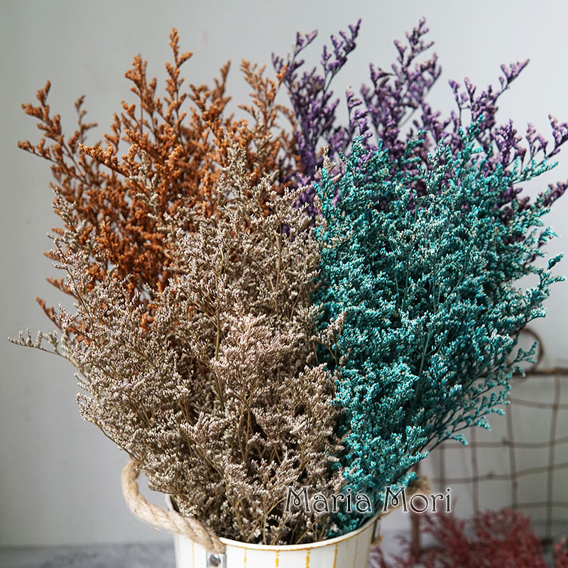 Eucalyptus Preserved - 50g/Flor de Limonium Preservada para o