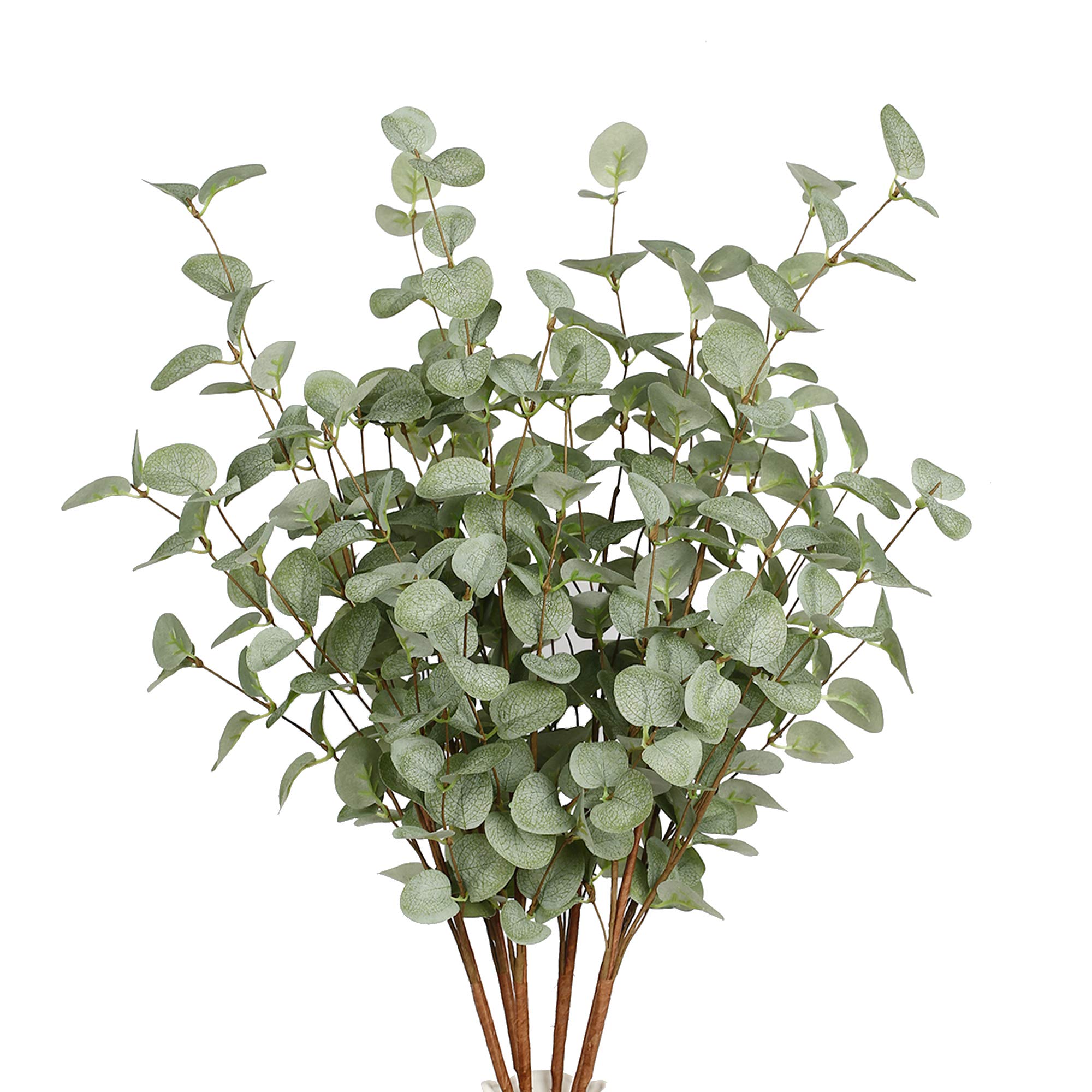 Eucalyptus Preserved - Hastes de eucalipto falso plantas artificiais