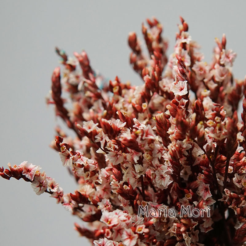 Dried Flower Bunch - 5g/colorido dired preservado cristal grama casa