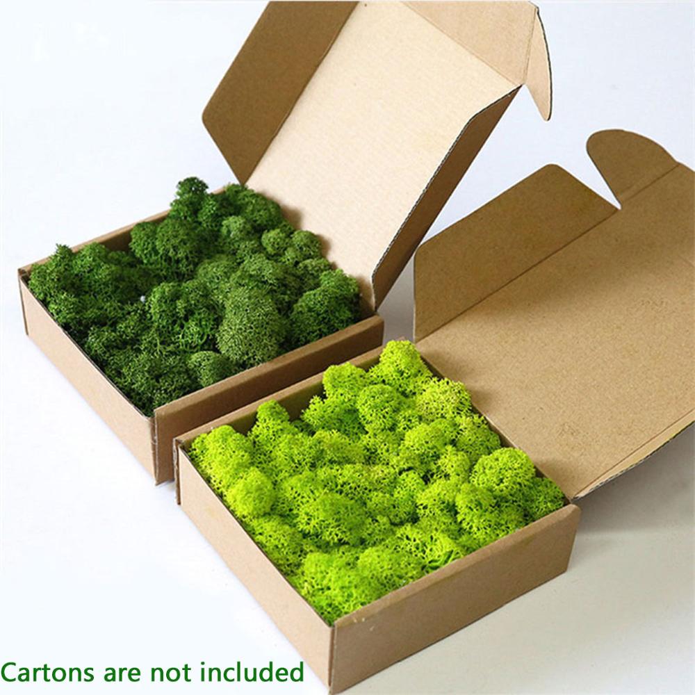 Preserved Moss Sheet - Planta artificial vida eterna musgo, jardim