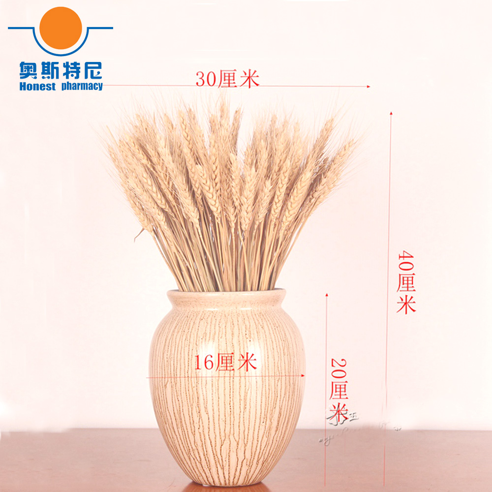 Dried Flower Bunch - Buquês de flores secas naturais, 50