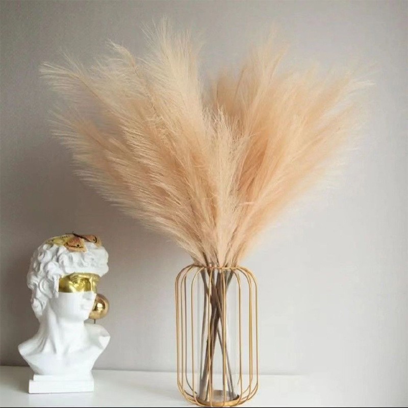 Florist Supply Vases - Grama pomposa artificial, Ramos de Pompass,
