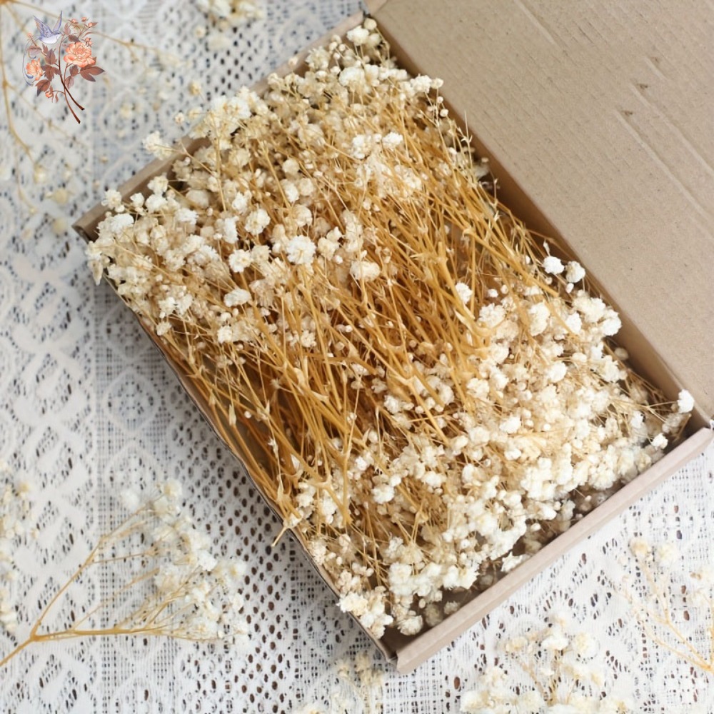 Dried Flower Bunch - 100 Peças de Flores Secas Mini