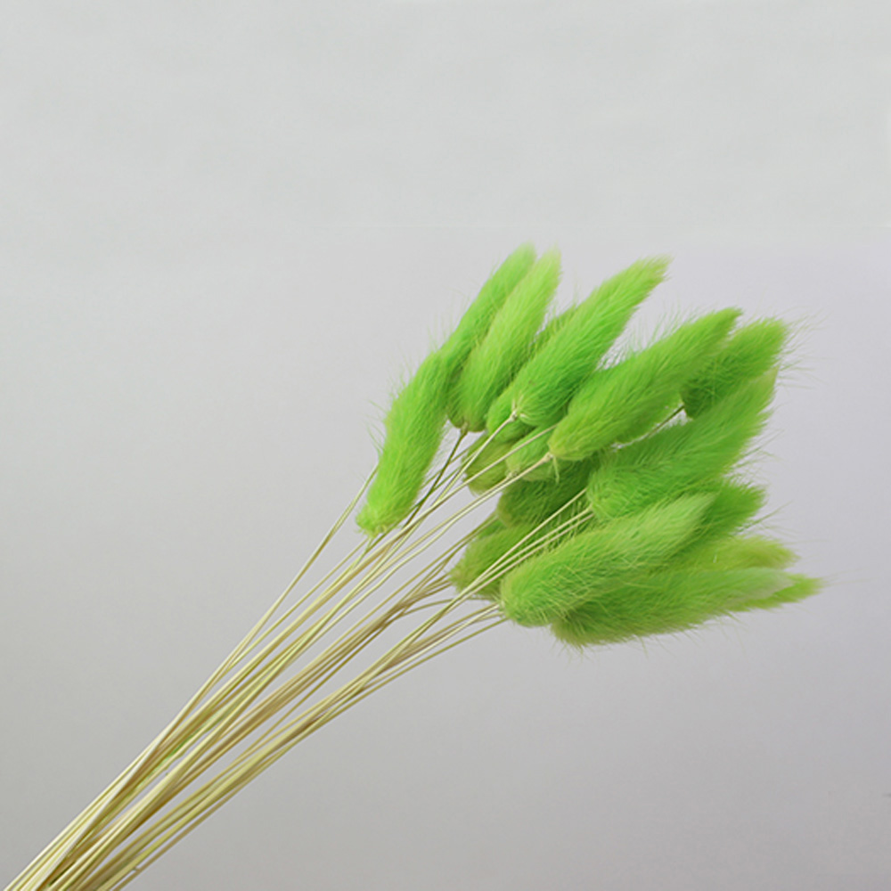 Buquês de flores naturais seca - Dried Flower Bunch avaliação e preço