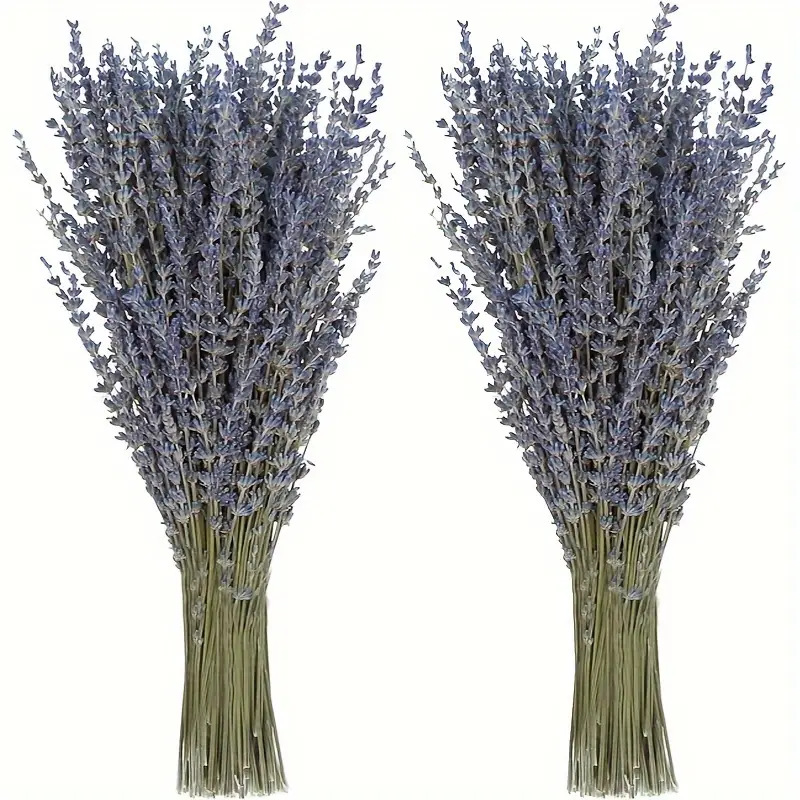 200 peças/maço de Flores Secas - Dried Flower Bunch avaliação e preço
