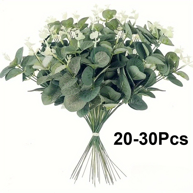 20 ou 30 peças de hastes de fo - Eucalyptus Preserved avaliação e preço