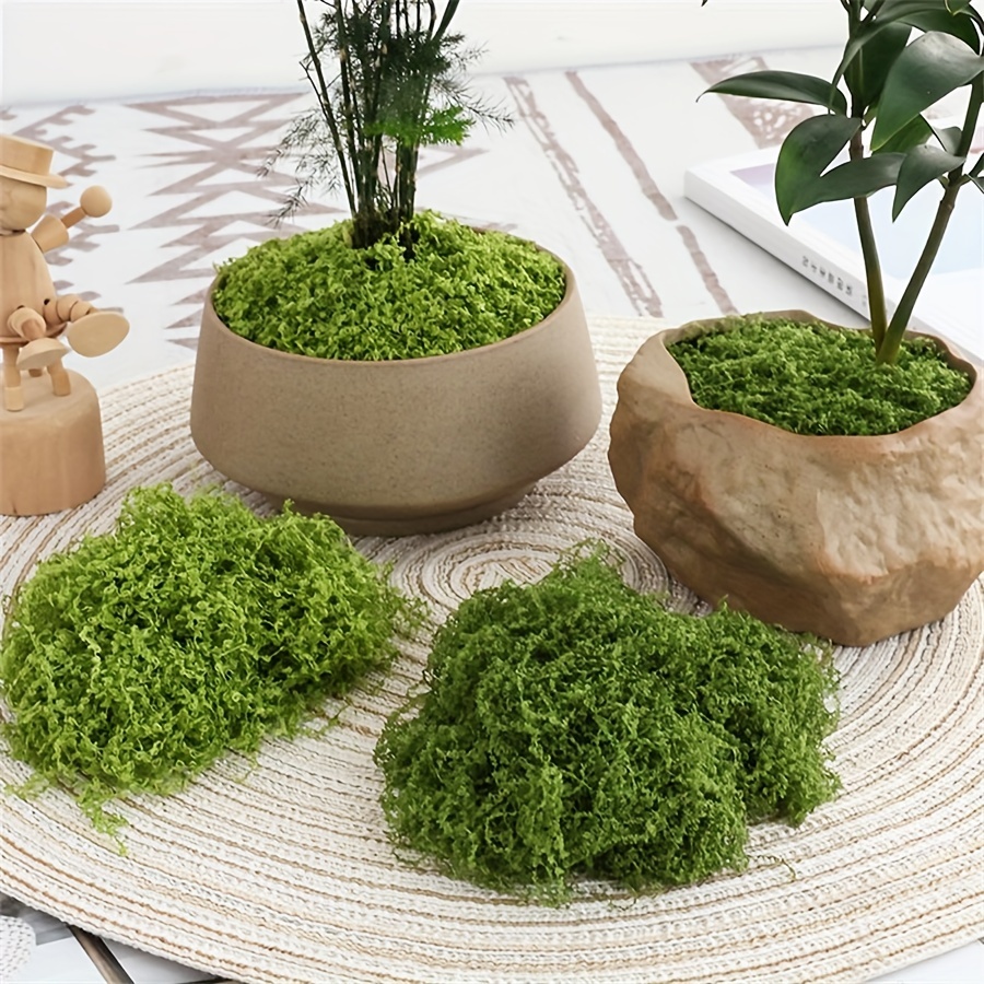 1 pacote de musgo artificial f - Preserved Moss Sheet avaliação e preço