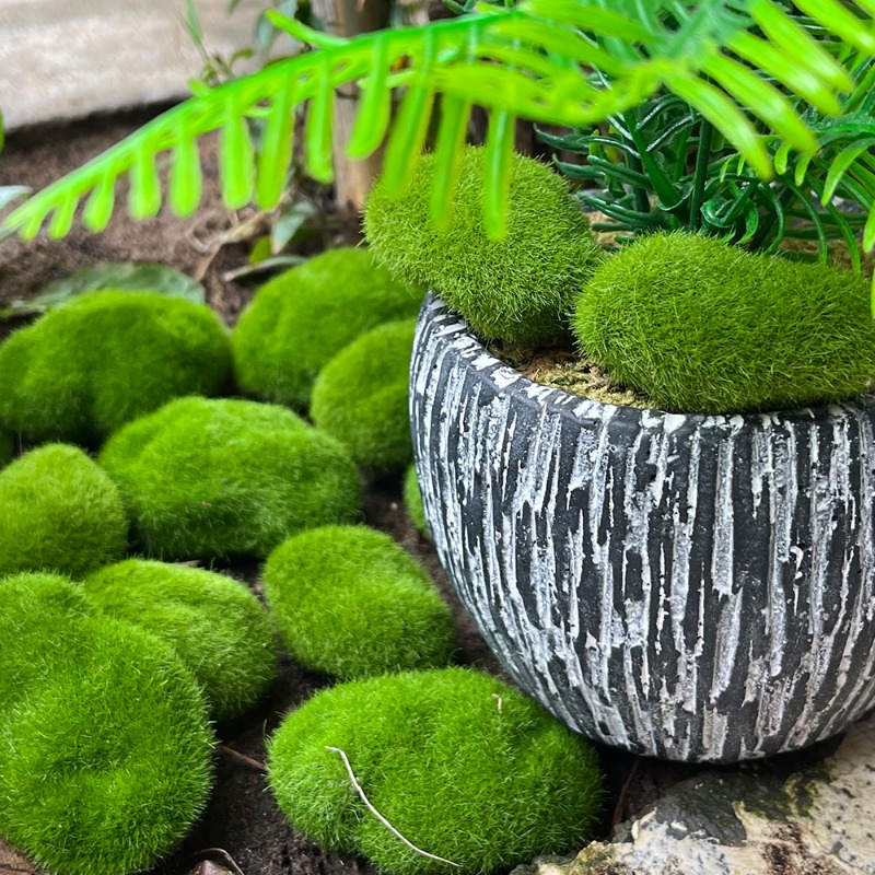 100/5 Peças de Pedras de Musgo - Preserved Moss Sheet avaliação e preço