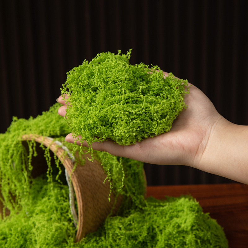 Musgo da Vida Eterna 200g para - Preserved Moss Sheet avaliação e preço