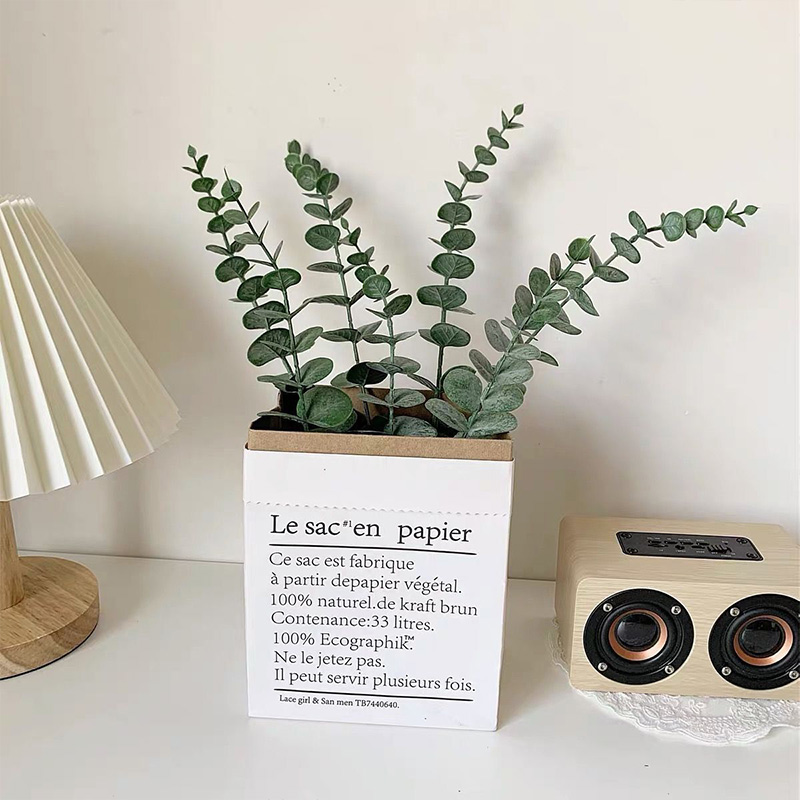 20 peças hastes artificiais de - Eucalyptus Preserved avaliação e preço