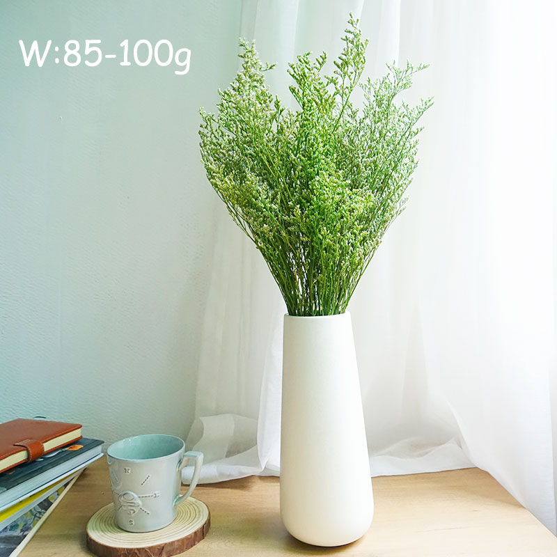 50g/Flor de Limonium Preservad - Eucalyptus Preserved avaliação e preço