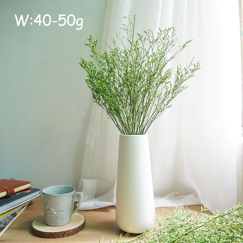 50g/Flor de Limonium Preservad - Eucalyptus Preserved avaliação e preço