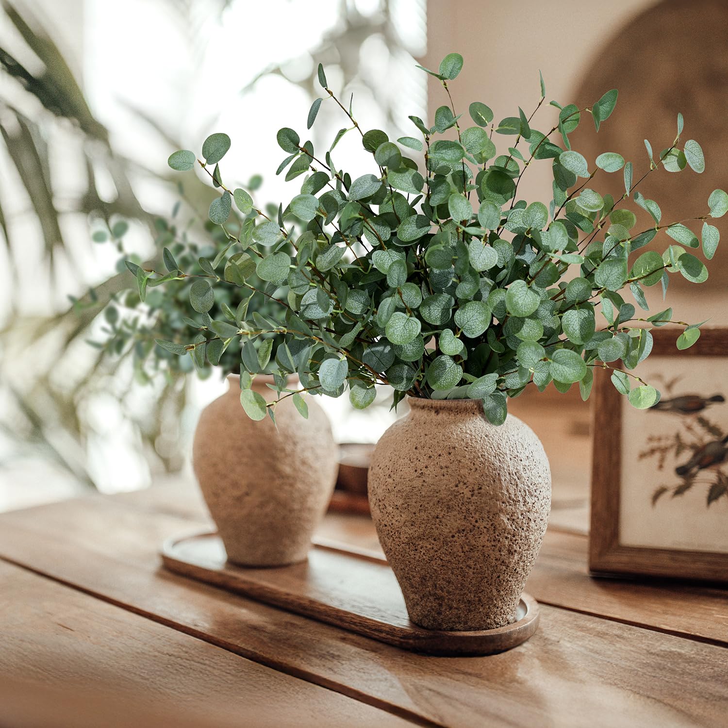 Hastes de eucalipto falso plan - Eucalyptus Preserved avaliação e preço