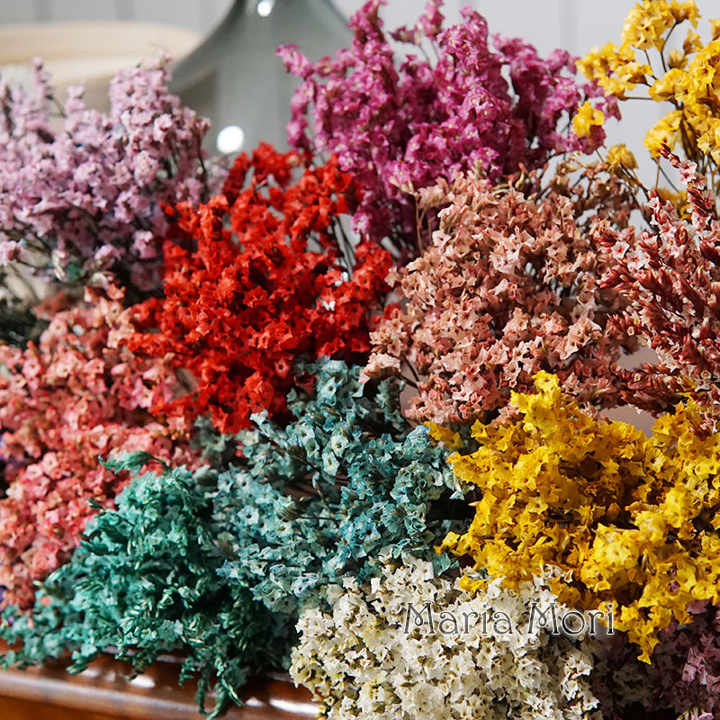 5g/colorido dired preservado c - Dried Flower Bunch avaliação e preço