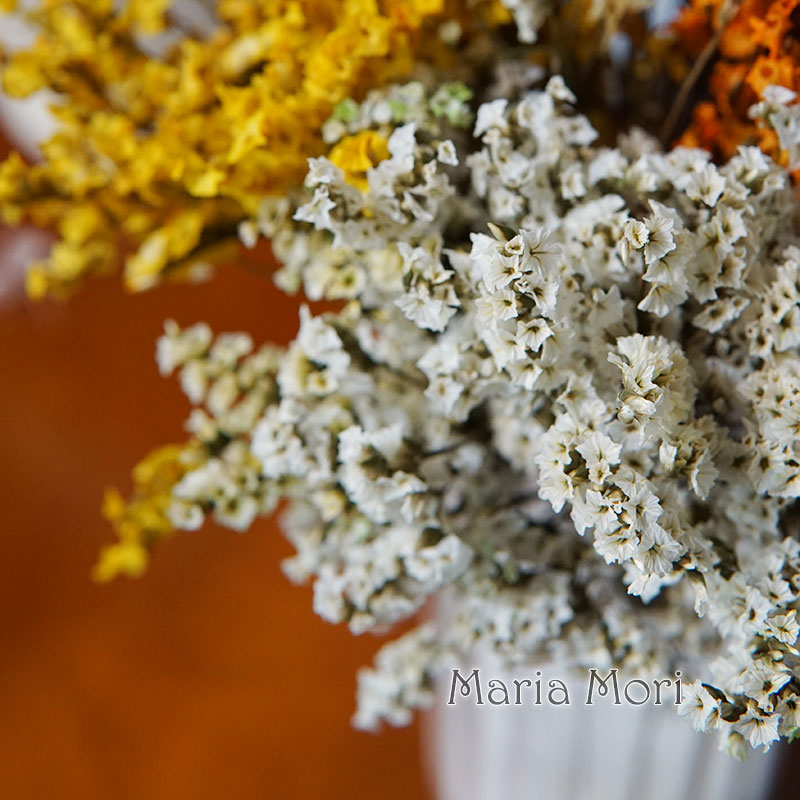 5g/colorido dired preservado c - Dried Flower Bunch avaliação e preço
