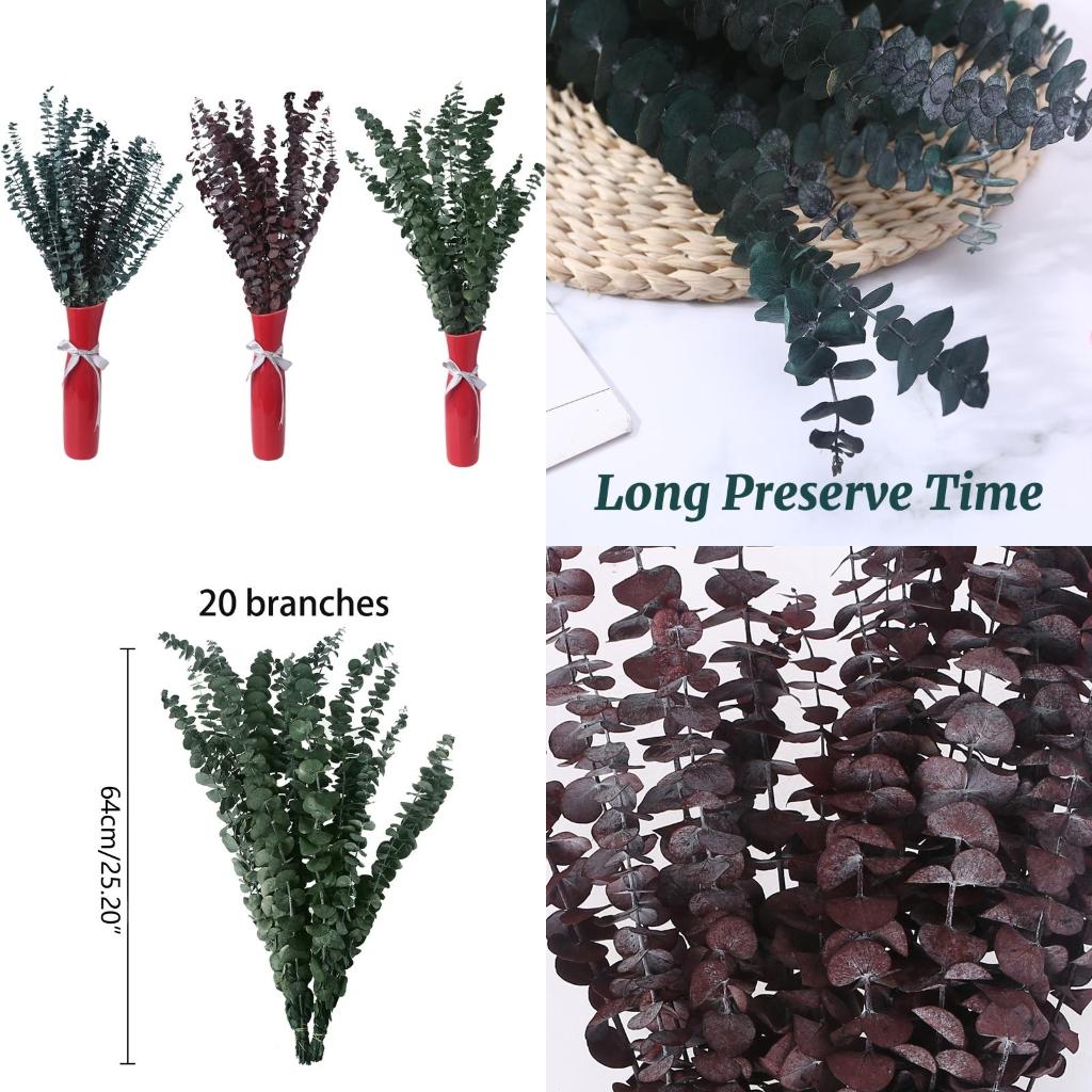 20 peças preservadas para ramo - Eucalyptus Preserved avaliação e preço