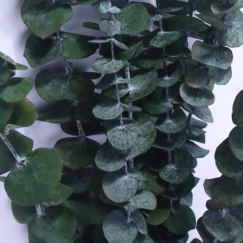 20 peças preservadas para ramo - Eucalyptus Preserved avaliação e preço