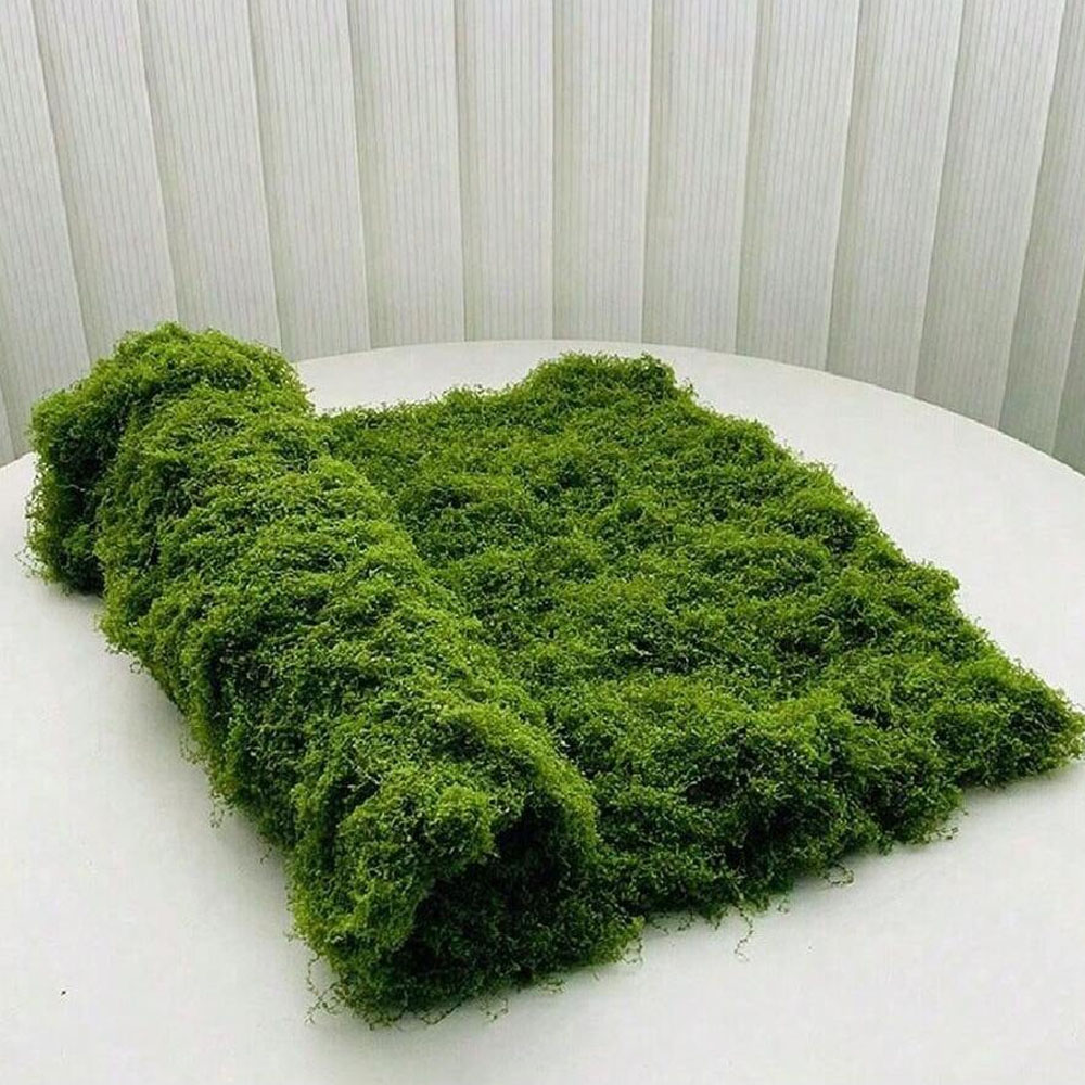 1*1m falso musgo diy artesanat - Preserved Moss Sheet avaliação e preço