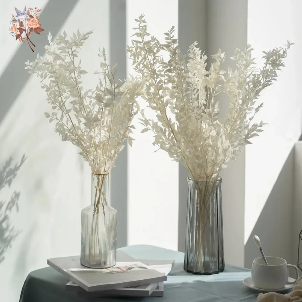 Buquê de Folhas de Eucalipto R - Eucalyptus Preserved avaliação e preço