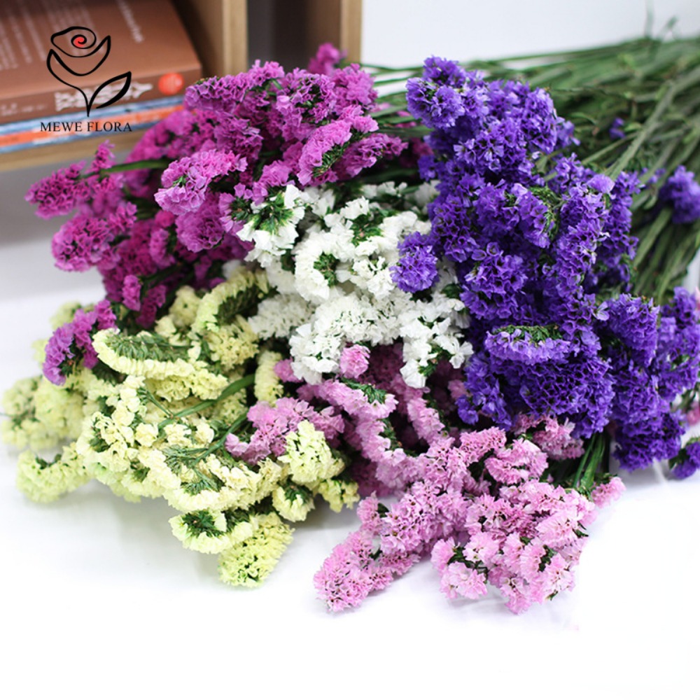 Flores Perfumadas Secas Esquec - Dried Flower Bunch avaliação e preço