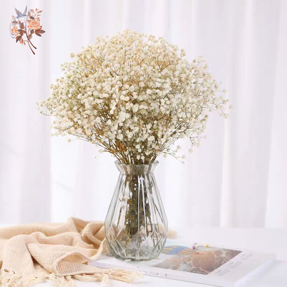 Buquê de flores secas para res - Eucalyptus Preserved avaliação e preço
