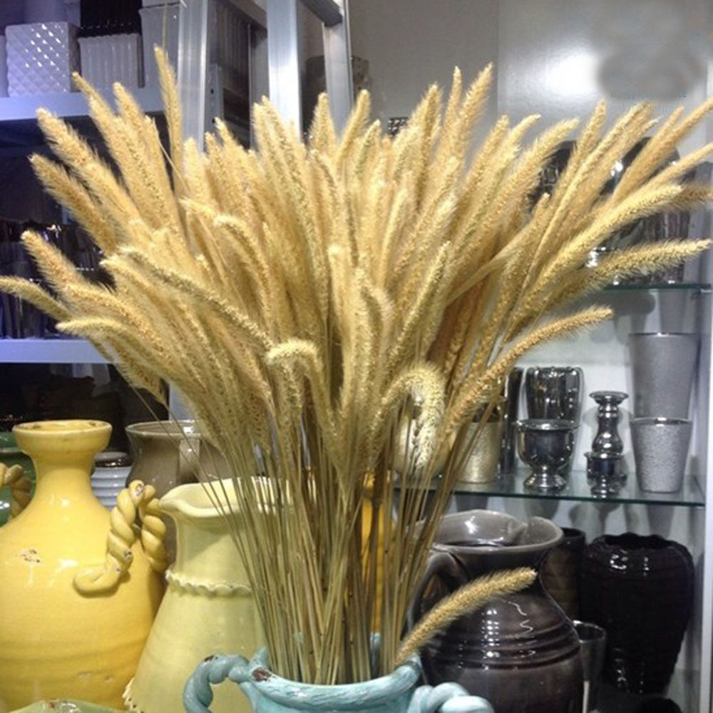 200 peças buquês de lagurus ov - Dried Flower Bunch avaliação e preço
