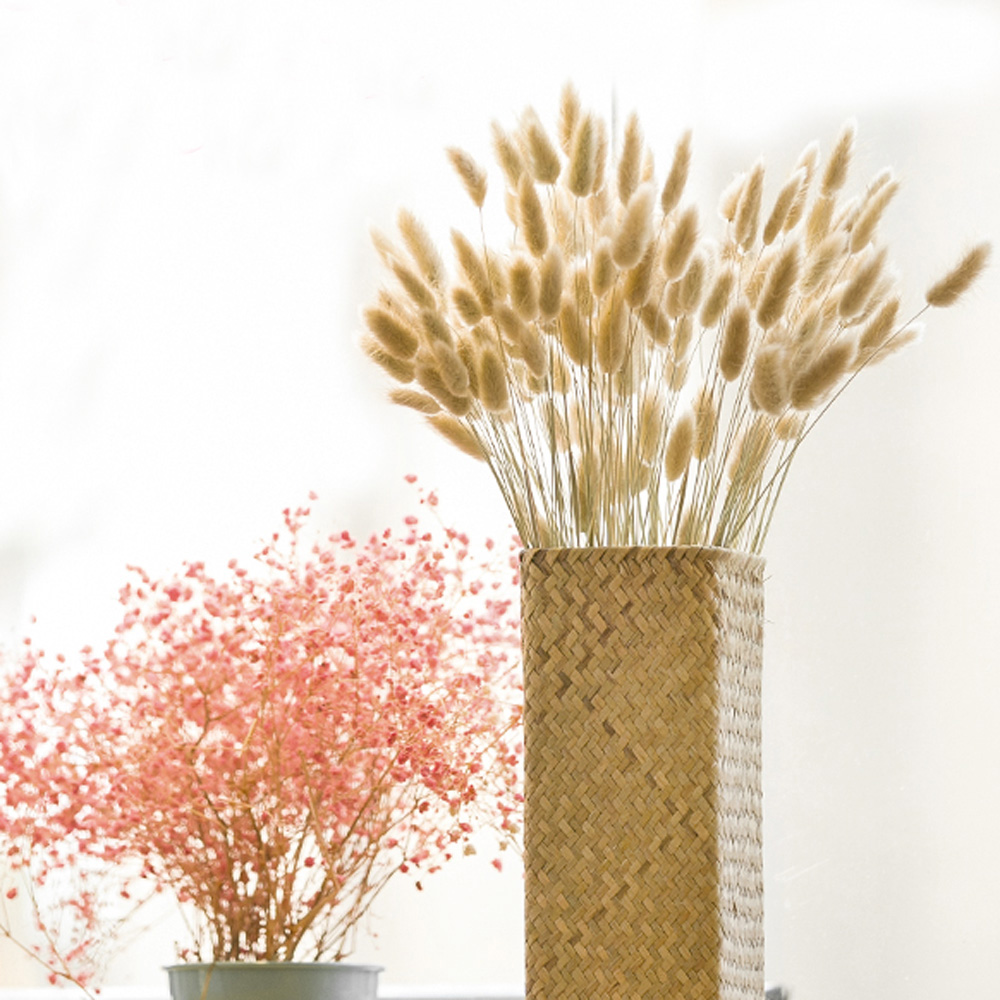 200 peças buquês de lagurus ov - Dried Flower Bunch avaliação e preço