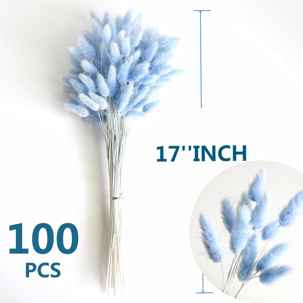 100 pçs azul lebre-cauda grama - Eucalyptus Preserved avaliação e preço