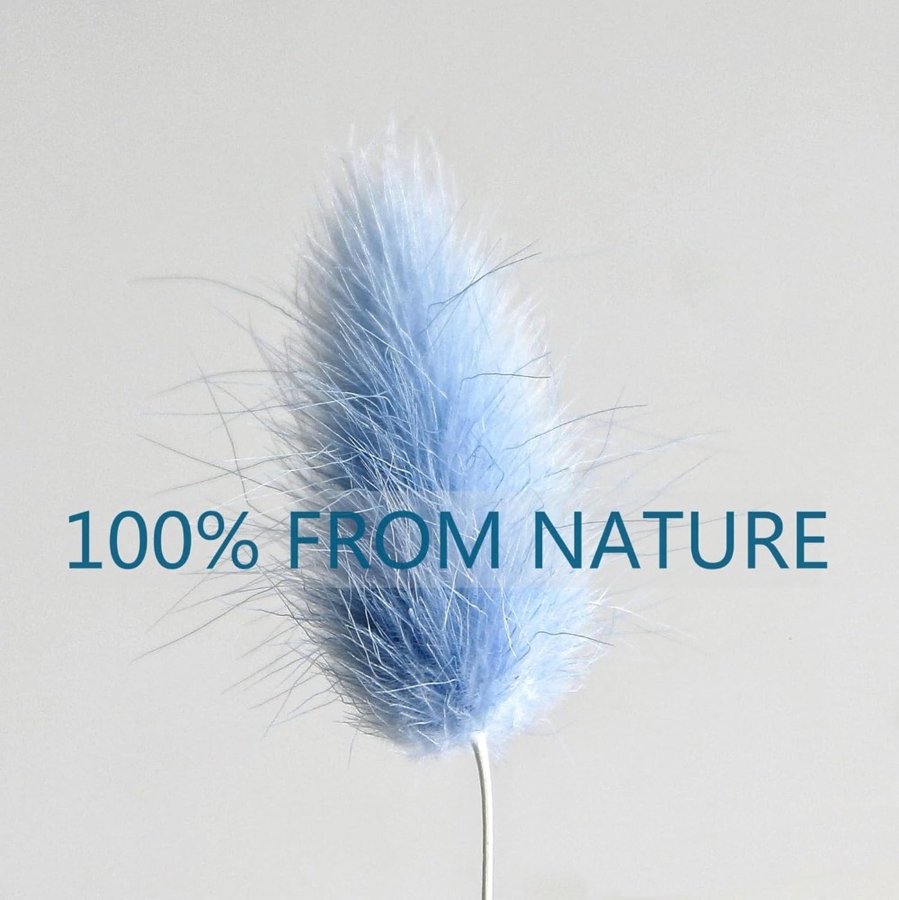 100 pçs azul lebre-cauda grama - Eucalyptus Preserved avaliação e preço