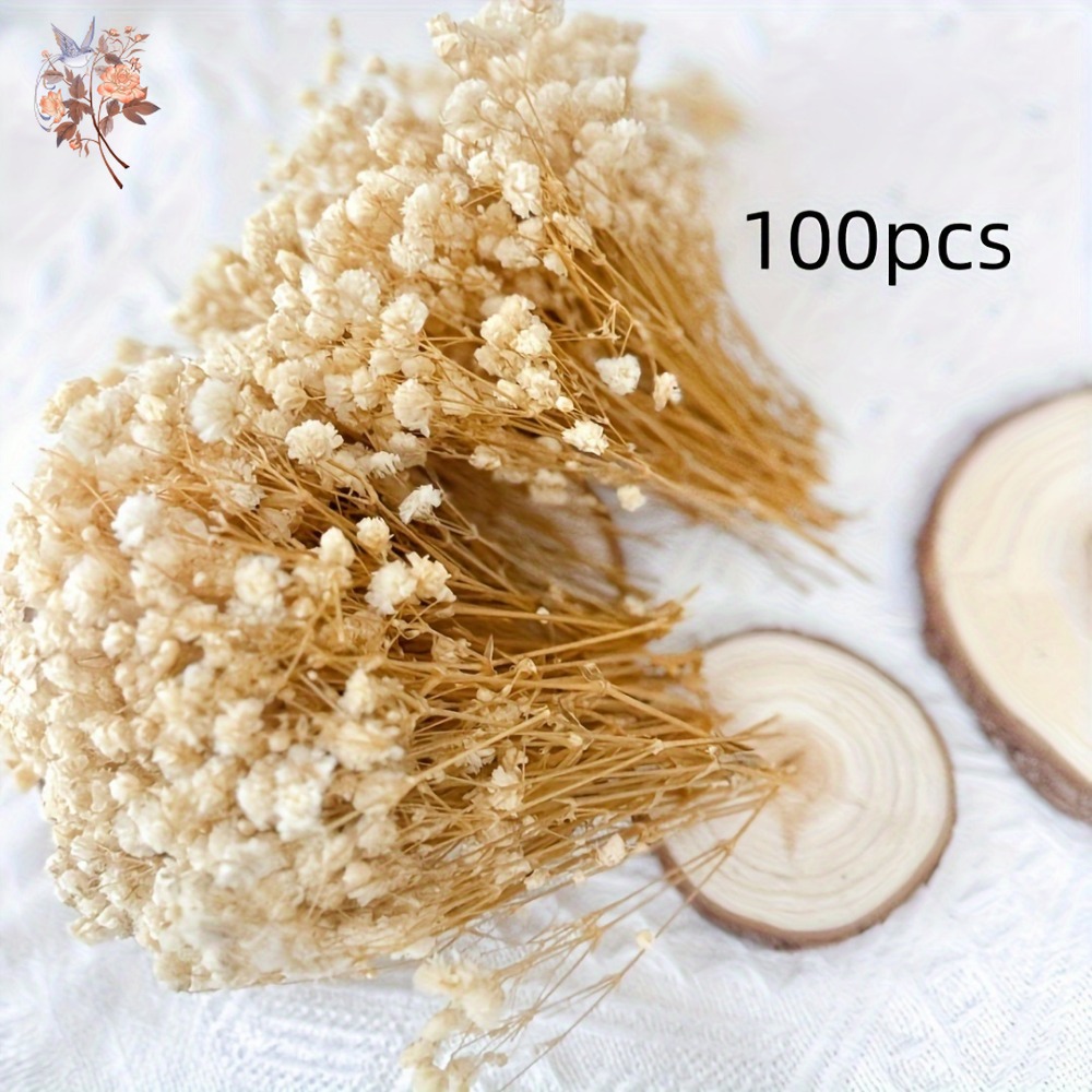 100 Peças de Flores Secas Mini - Dried Flower Bunch avaliação e preço