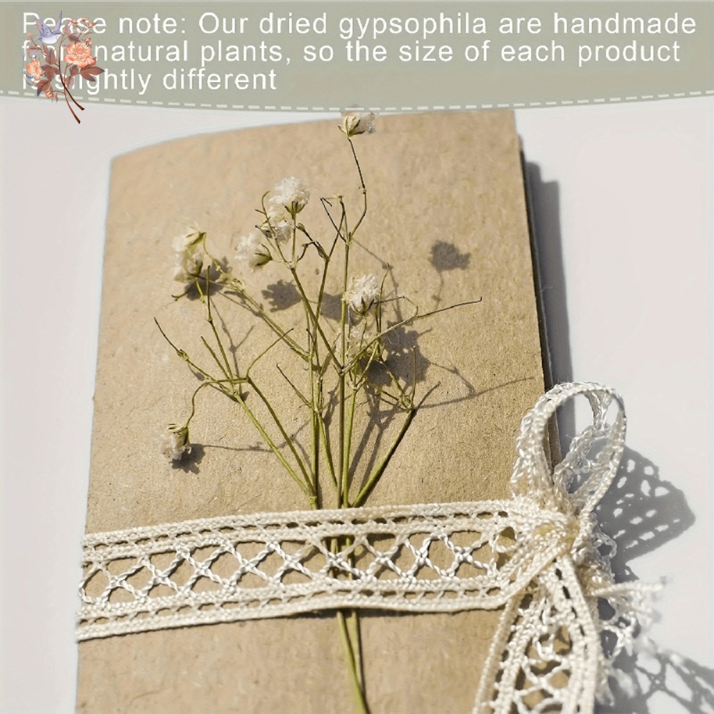 100 Peças de Flores Secas Mini - Dried Flower Bunch avaliação e preço